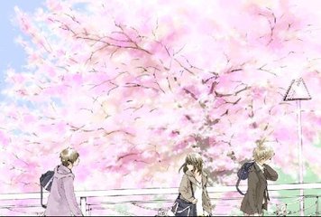 猫咪社区视频在线观看免费完整版